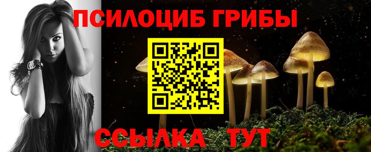 Галлюциногенные грибы ЛСД Урус-Мартан